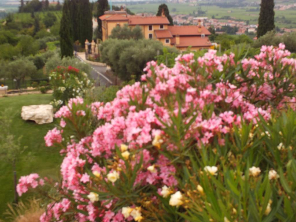 Villa Oleandri San Pietro in Cariano Værelse billede